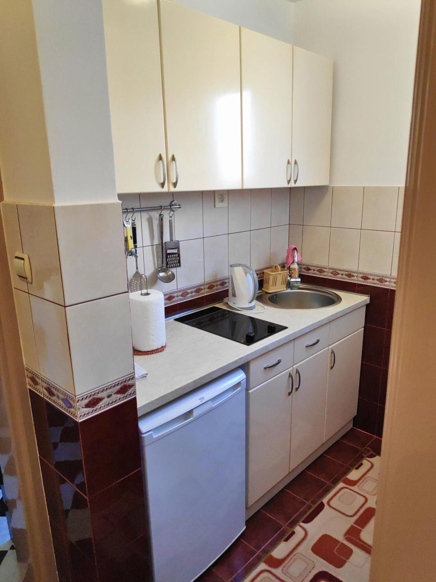 Apartment Asanovic *